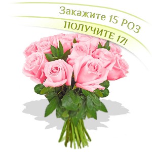 17 розовых роз